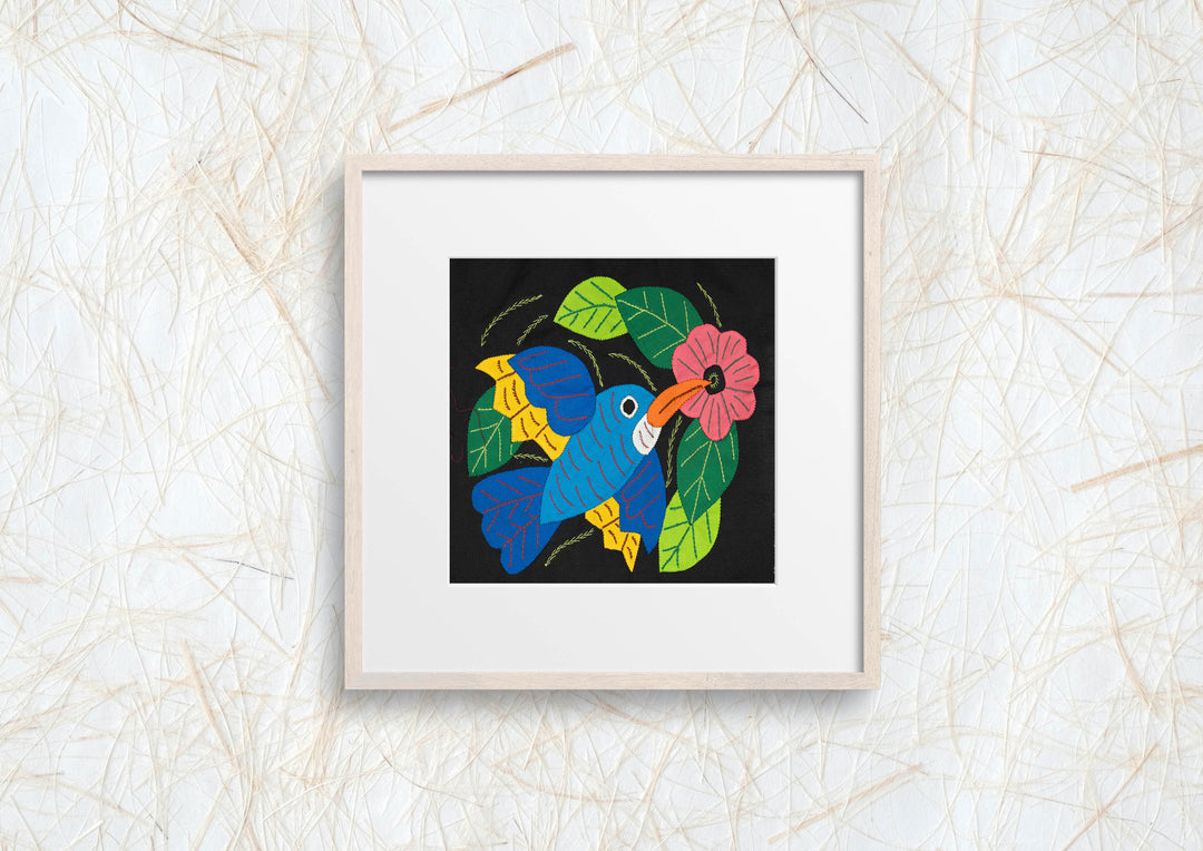 Blue Hummingbird Molita