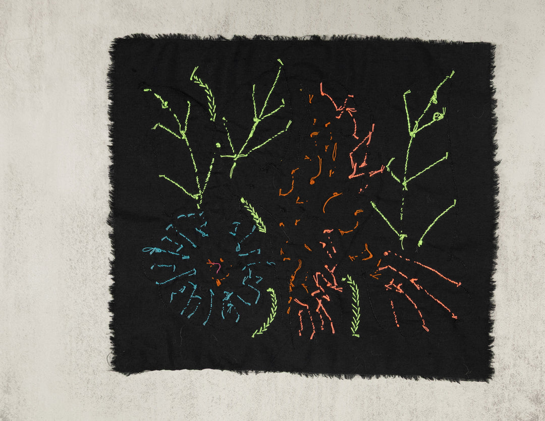 Red And Orange Hummingbird Molita