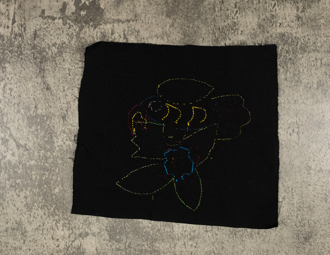 Multi-Color Parrot Bird Blue And Yellow Molita