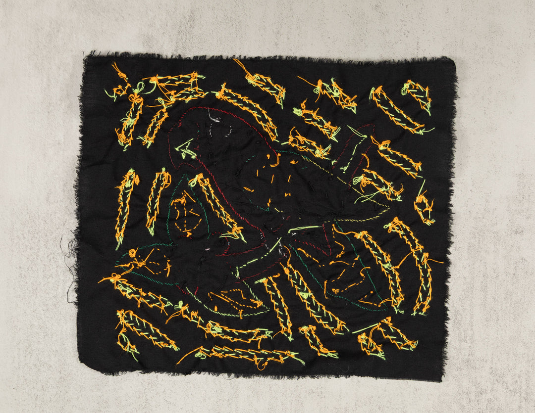 Multi-Color Parrot Bird Red And Blue Molita