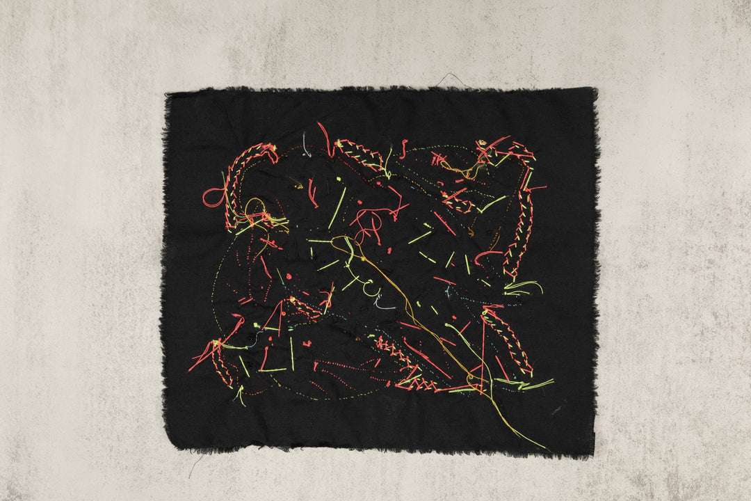 Multi-Color Parrot Bird Red And Blue Molita