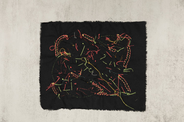 Multi-Color Parrot Bird Red And Blue Molita