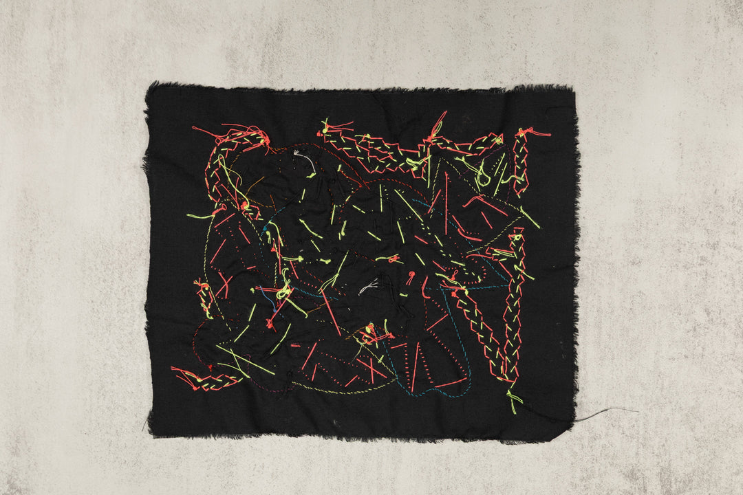 Multi-Color Parrot Bird Red And Blue Molita