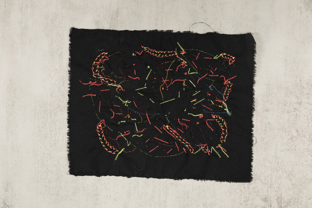 Multi-Color Parrot Bird Red And Blue Molita