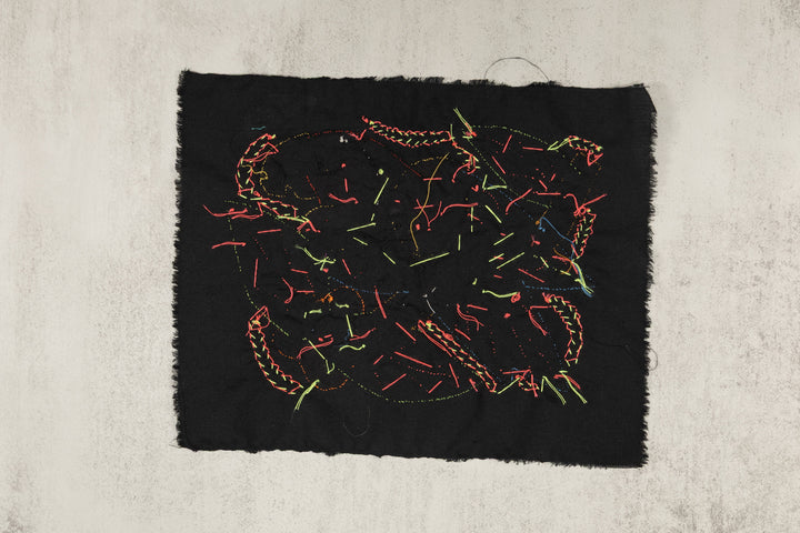 Multi-Color Parrot Bird Red And Blue Molita