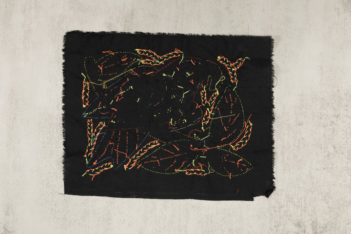 Multi-Color Parrot Bird Red And Blue Molita