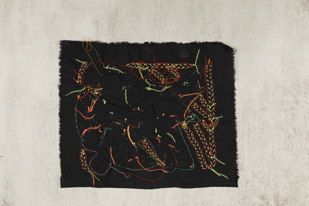 Multi-Color Parrot Bird Red And Blue Molita