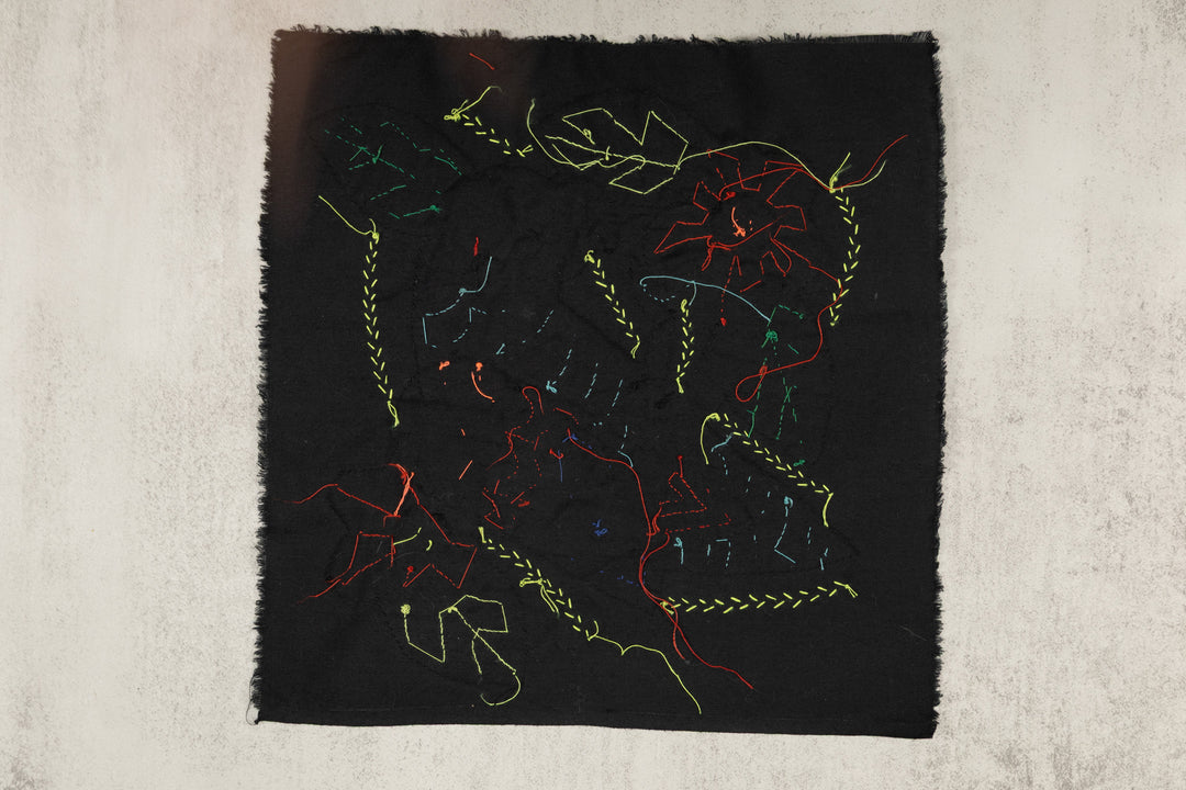 Multi-Color Parrot Bird Red And Blue Molita