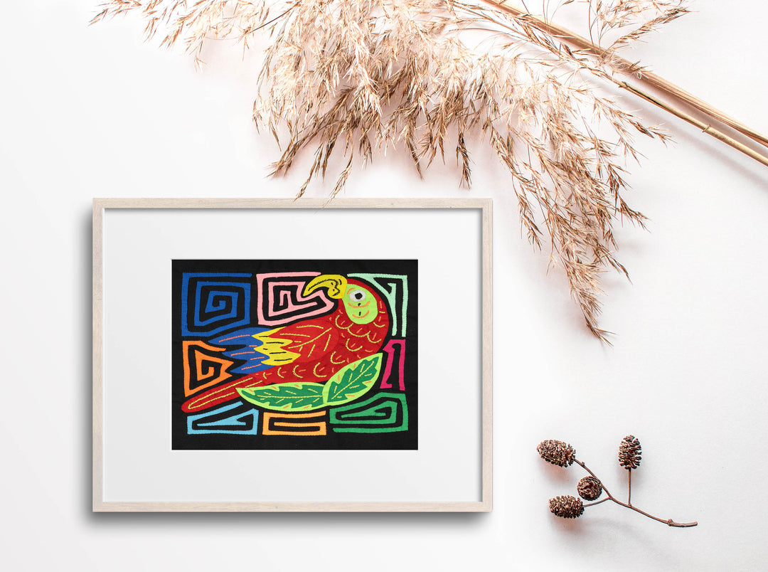 Multi-Color Parrot Bird Red And Blue Molita