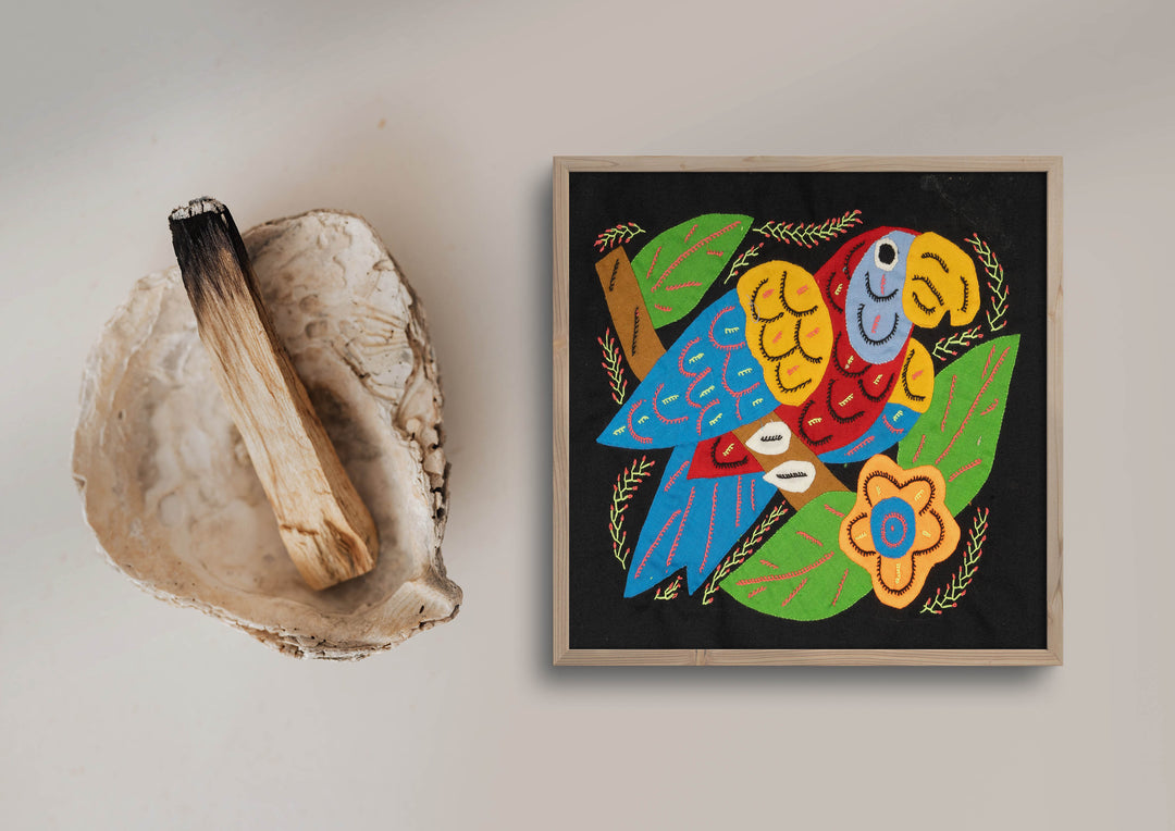 Multi-Color Parrot Bird Red And Blue Molita