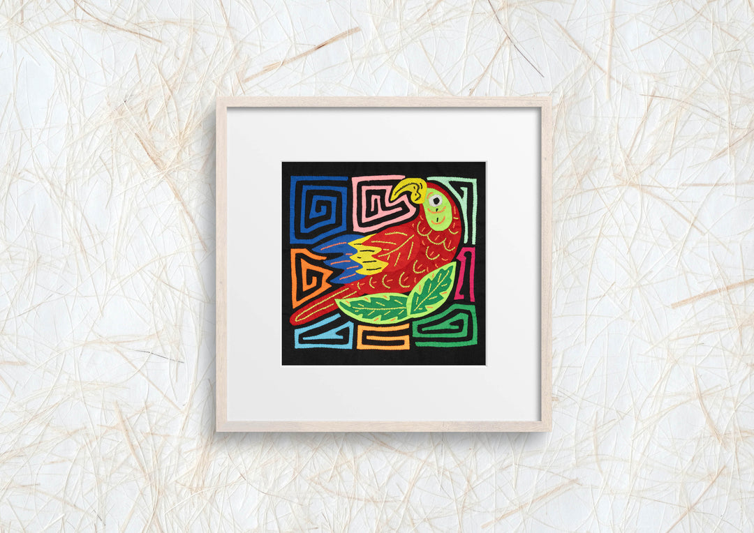 Multi-Color Parrot Bird Red And Blue Molita