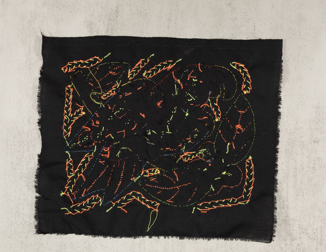 Multicolor Parrot Bird Red And Blue Molita