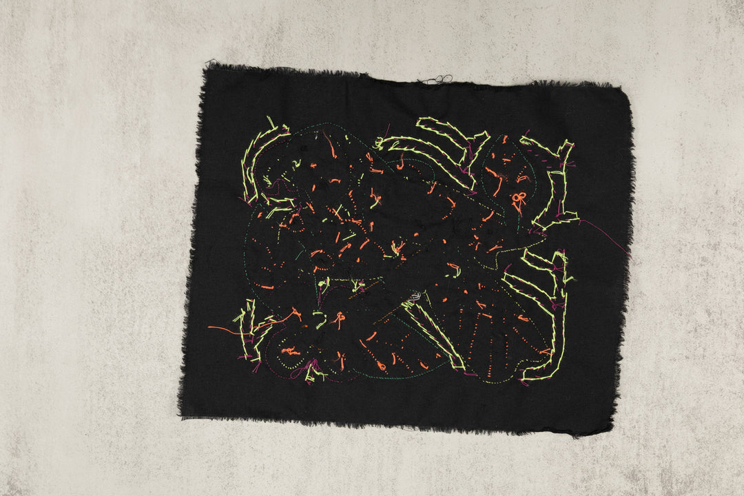 Multi-Color Parrot Bird Green And Purple Molita