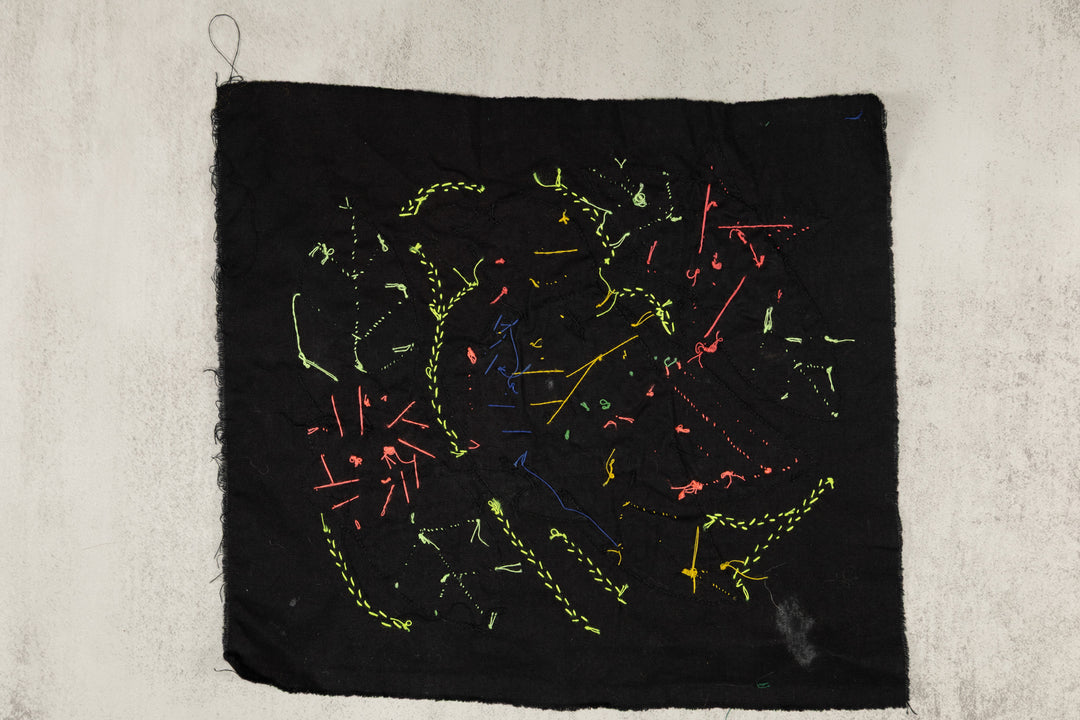 Multi-Color Parrot Bird Red And Blue Molita