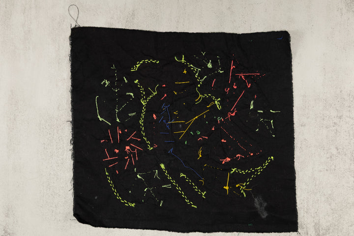 Multi-Color Parrot Bird Red And Blue Molita