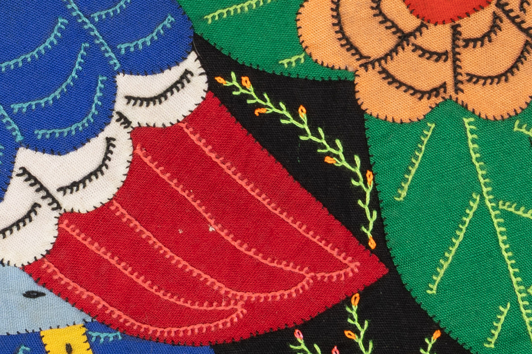 Multi-Color Parrot Toucan Blue And Red Molita