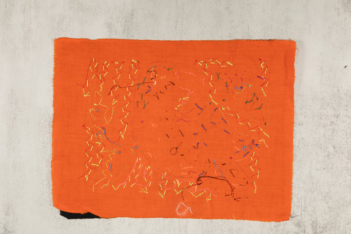 Multi-Color Parrot Bird Blue And Red Molita