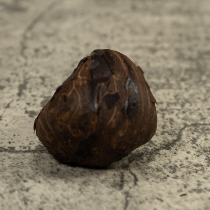 Blue Poison Dart Frog Tagua Carving