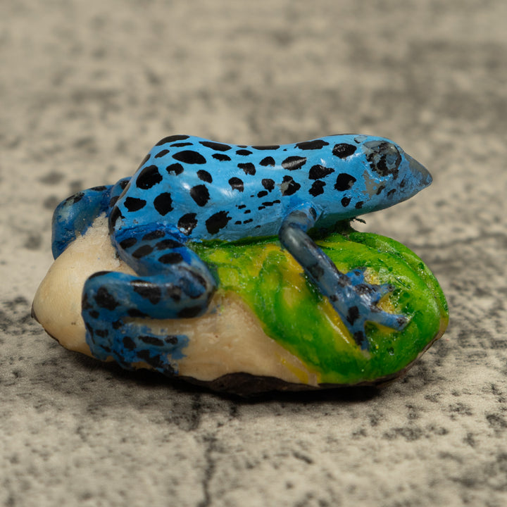 Black And Blue Frog Tagua Carving