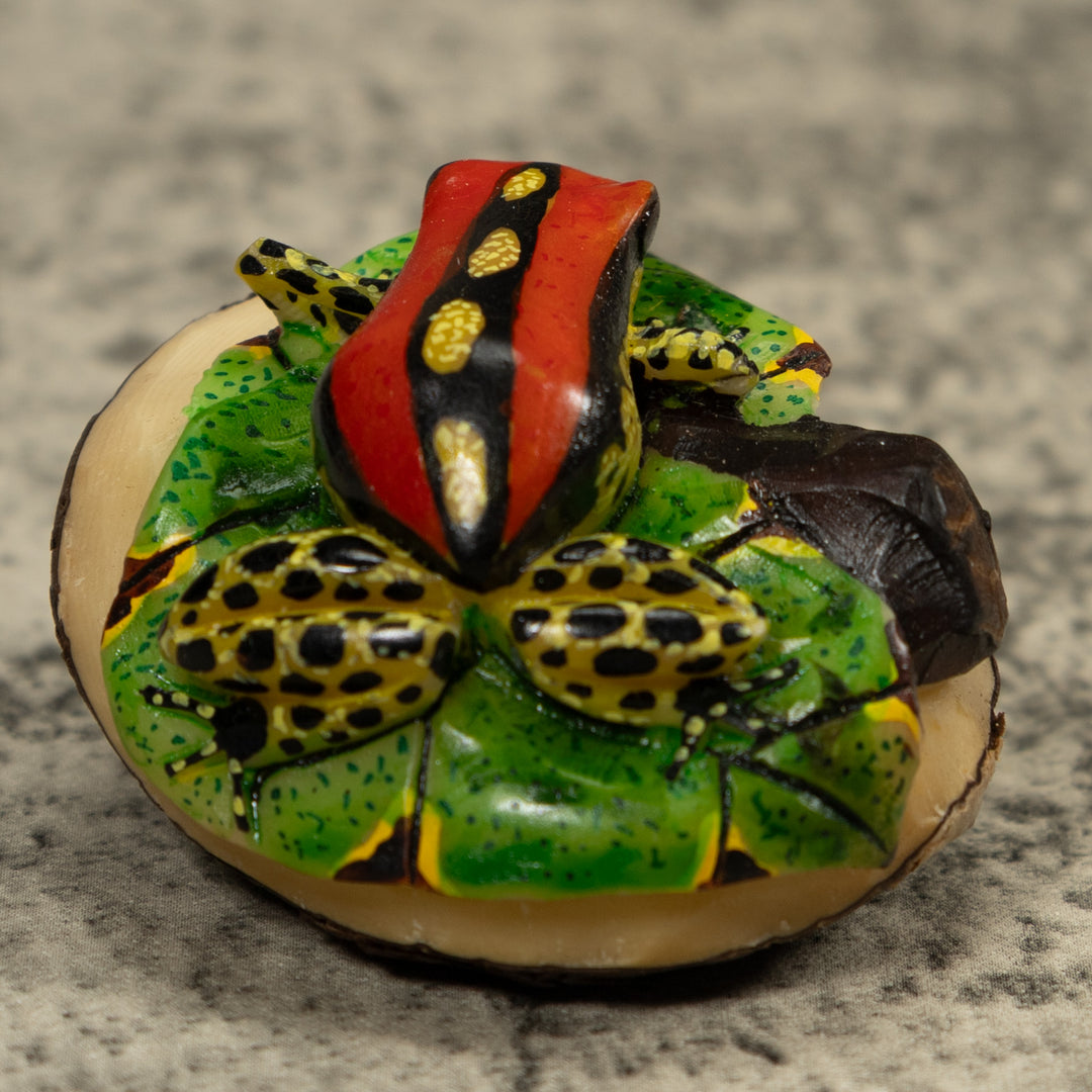 Gold Black And Red Frog Tagua Carving