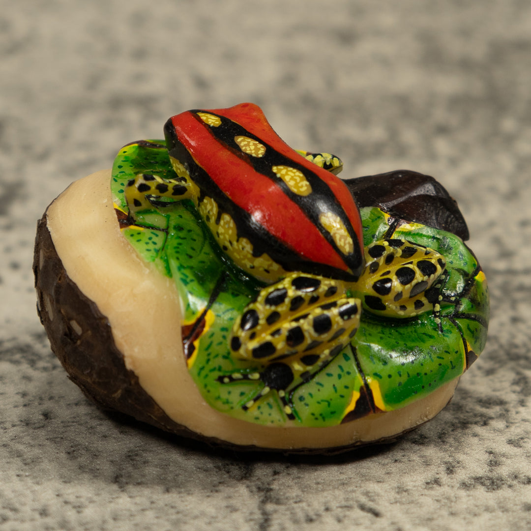 Gold Black And Red Frog Tagua Carving