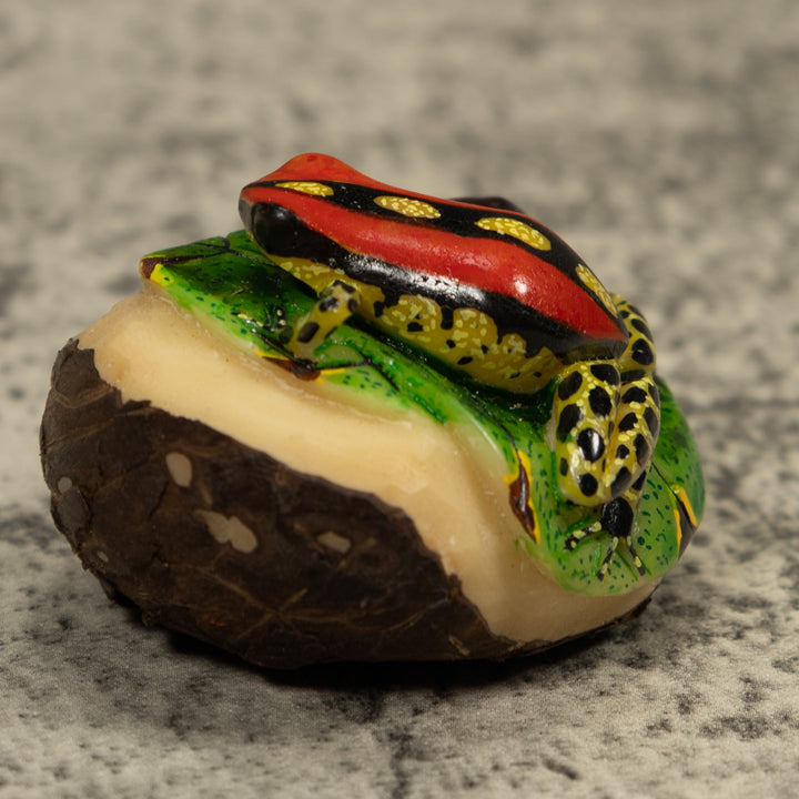 Gold Black And Red Frog Tagua Carving