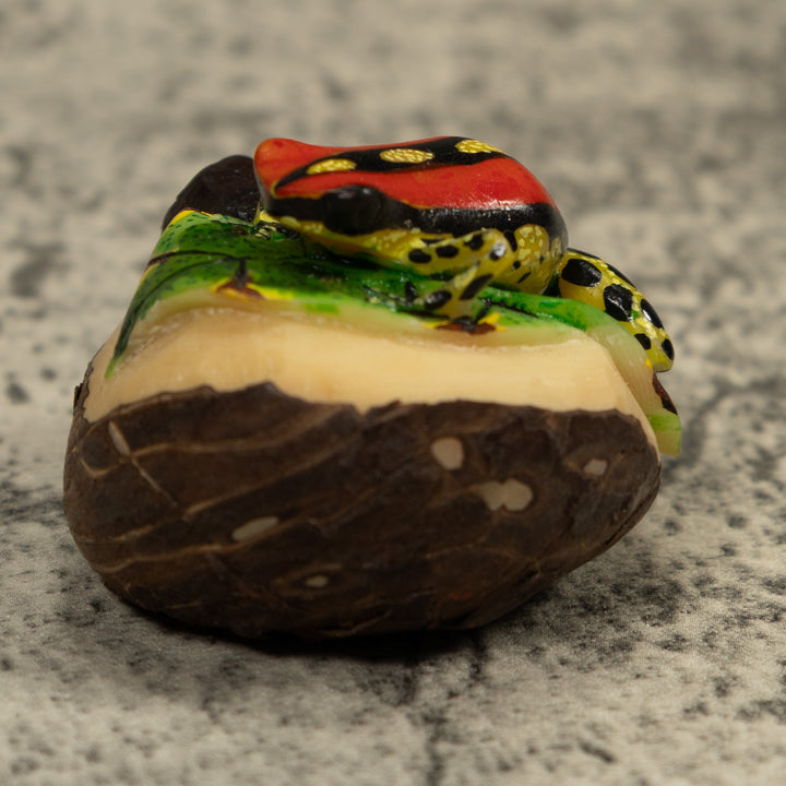 Gold Black And Red Frog Tagua Carving