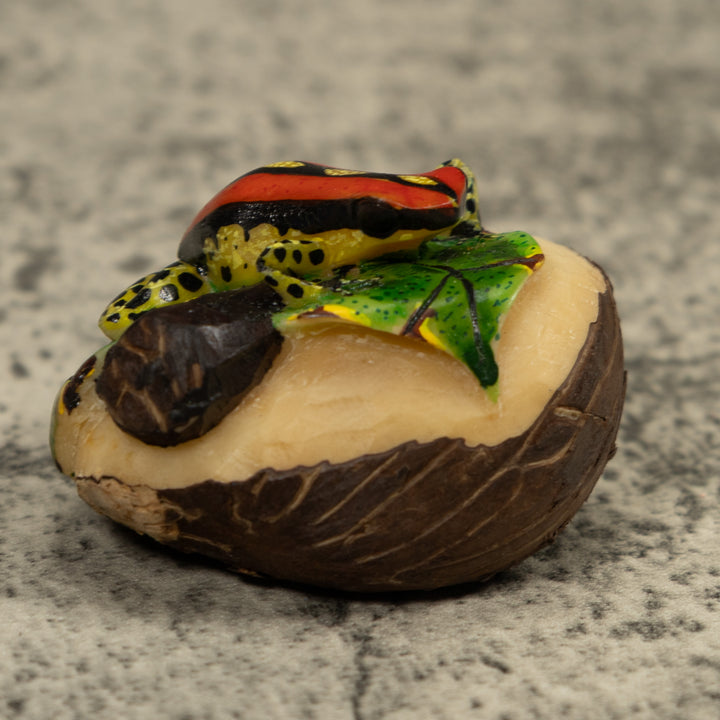 Gold Black And Red Frog Tagua Carving