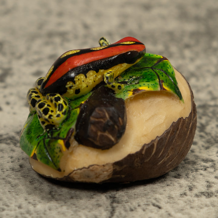 Gold Black And Red Frog Tagua Carving