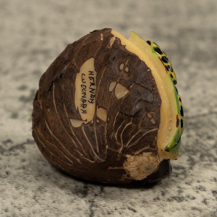 Gold Black And Red Frog Tagua Carving