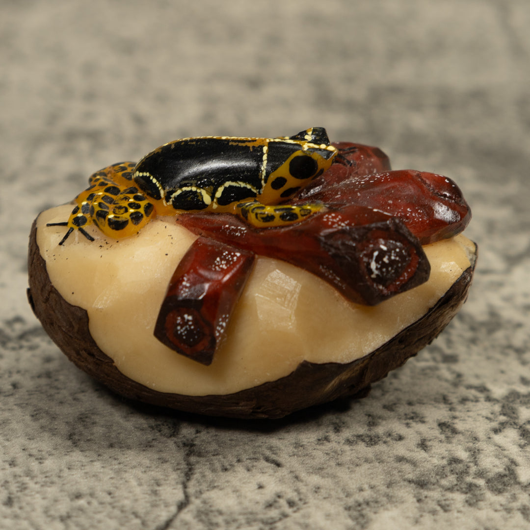 Gold Black And White Frog Tagua Carving