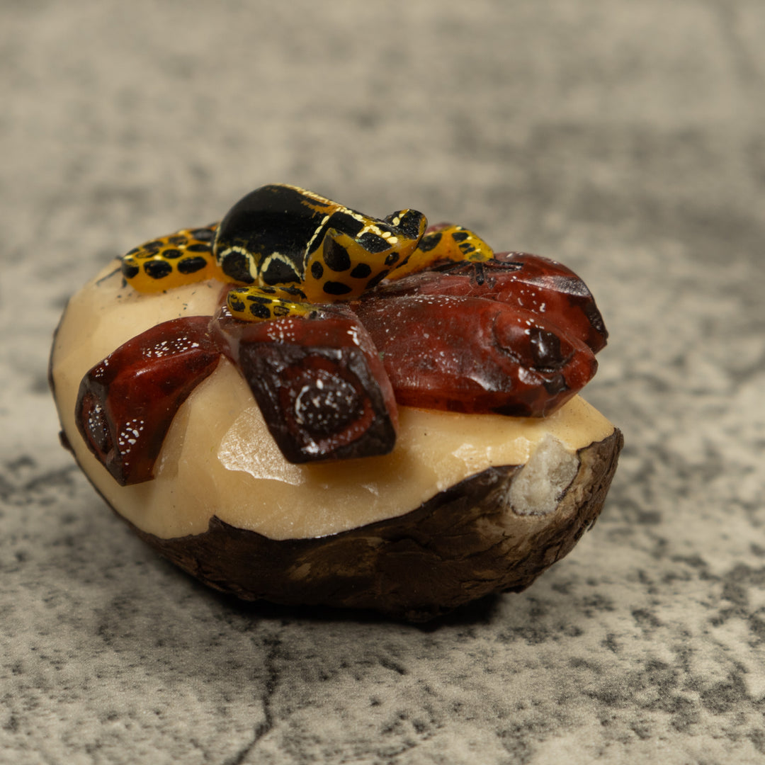 Gold Black And White Frog Tagua Carving