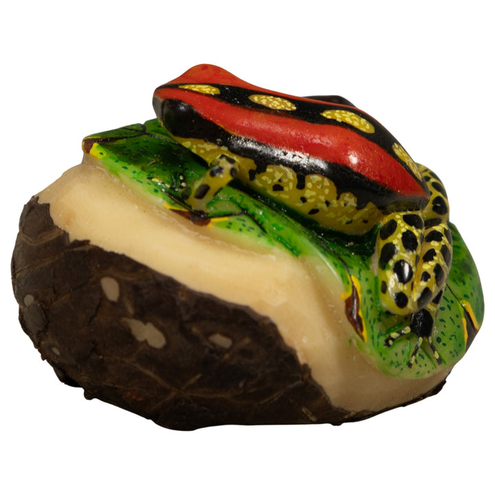 Gold Black And Red Frog Tagua Carving