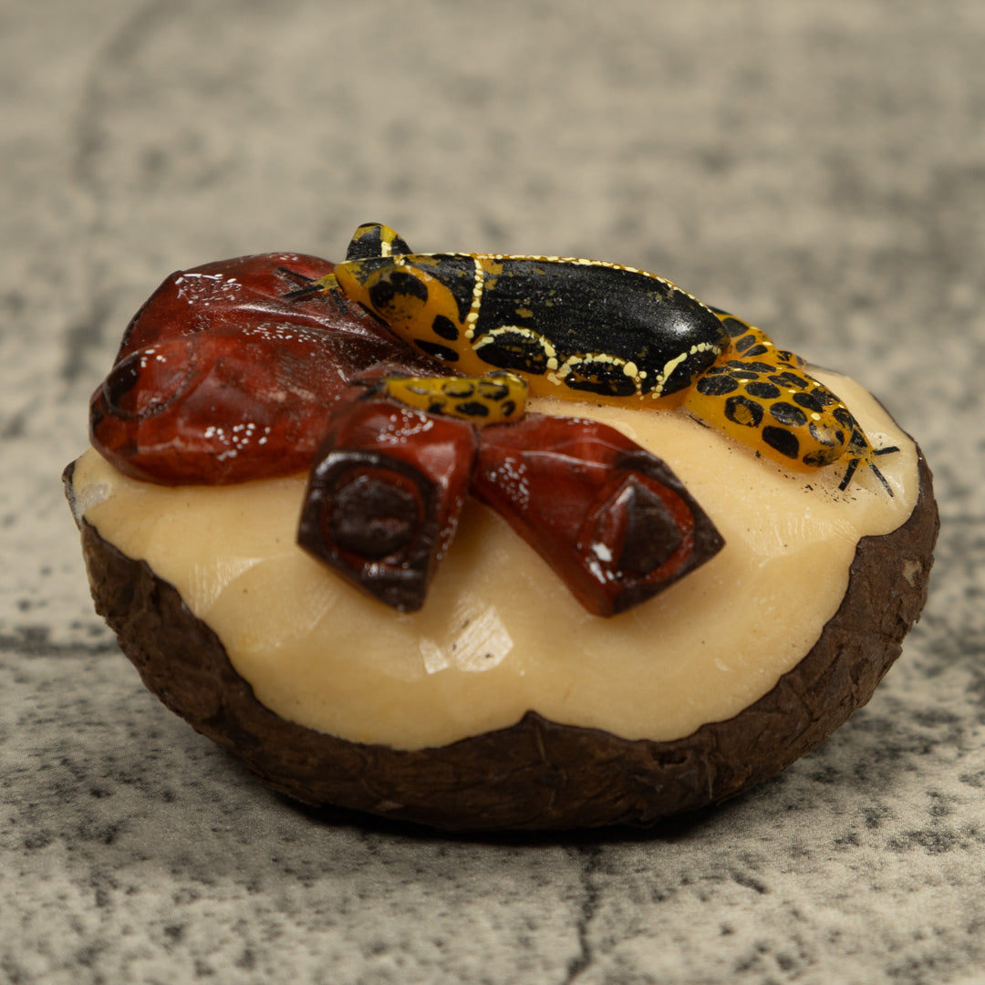 Gold Black And White Frog Tagua Carving