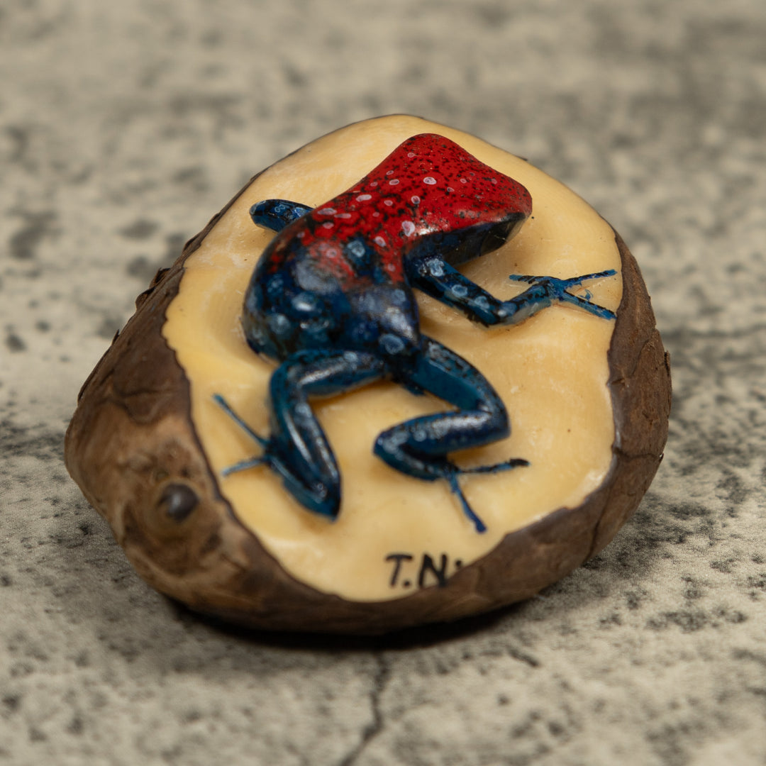 Red And Blue Frog Tagua Carving