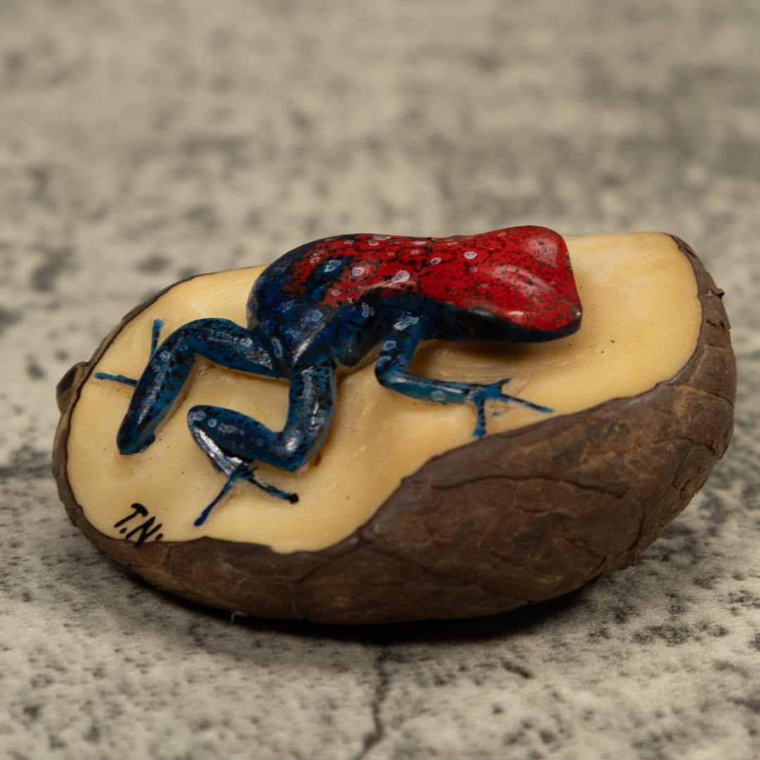 Red And Blue Frog Tagua Carving