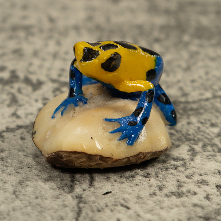 Yellow And Blue Poison Dart Frog Tagua Carving