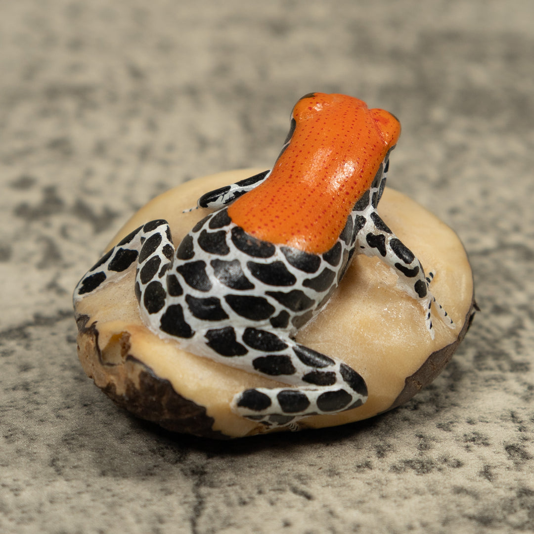 Red And Blue Frog Tagua Carving