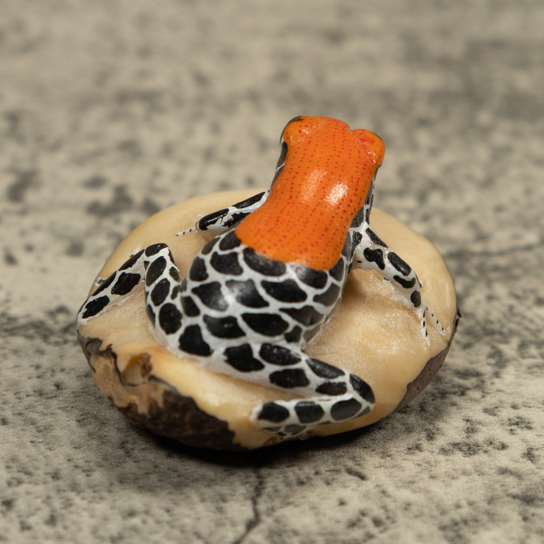 Red And Blue Frog Tagua Carving