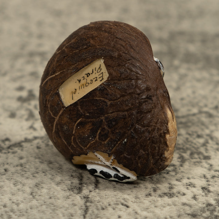 Red And Blue Frog Tagua Carving