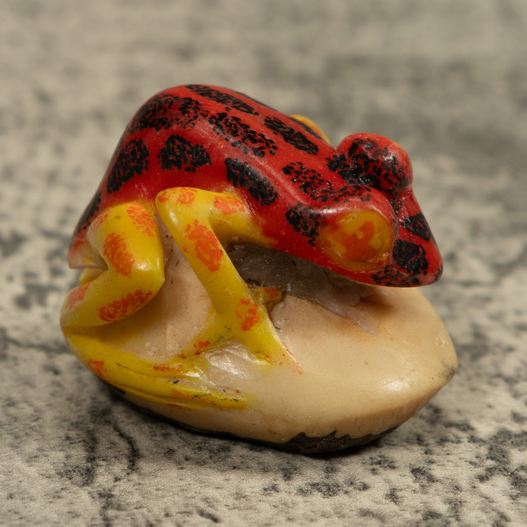 Vintage Red Black And Yellow Frog Tagua Carving