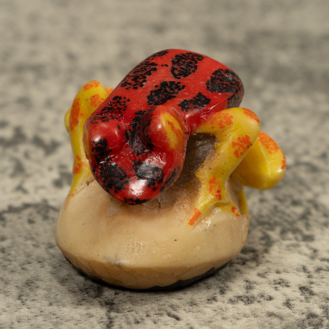 Vintage Red Black And Yellow Frog Tagua Carving