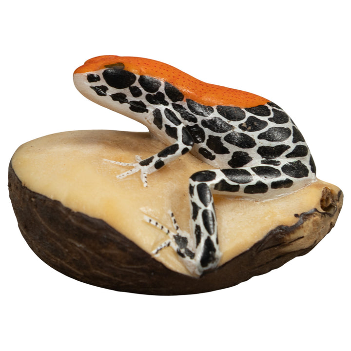 Red And Blue Frog Tagua Carving
