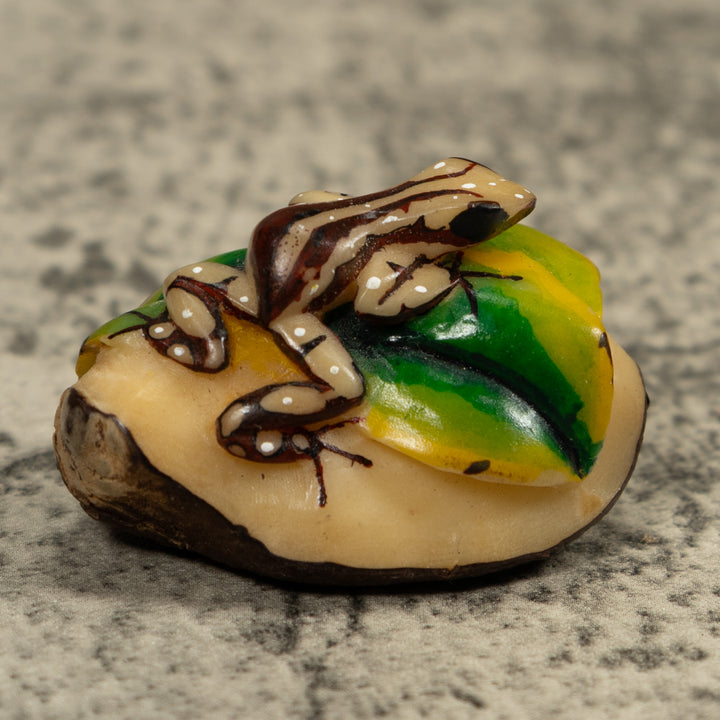 Brown And Cream Frog Tagua Carving