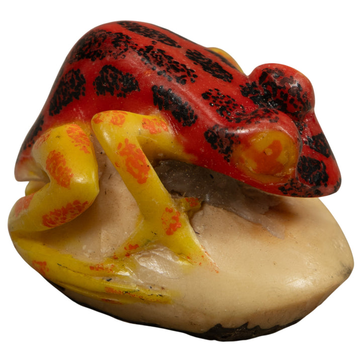 Vintage Red Black And Yellow Frog Tagua Carving