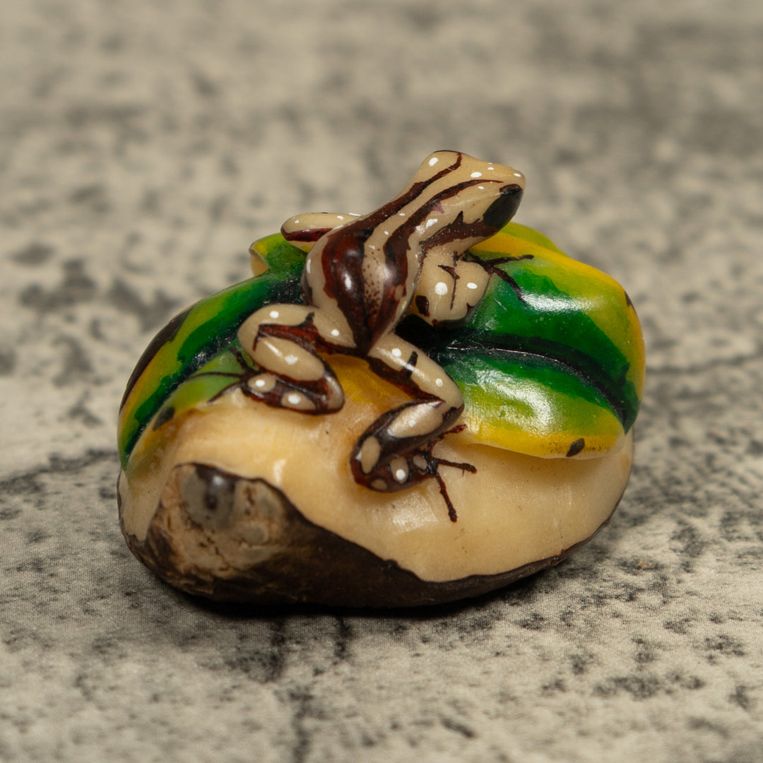Brown And Cream Frog Tagua Carving