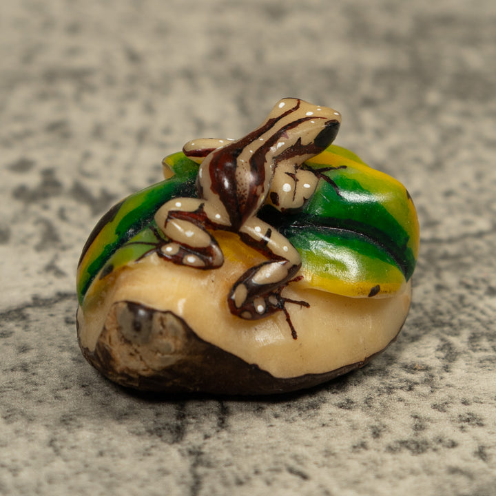 Brown And Cream Frog Tagua Carving