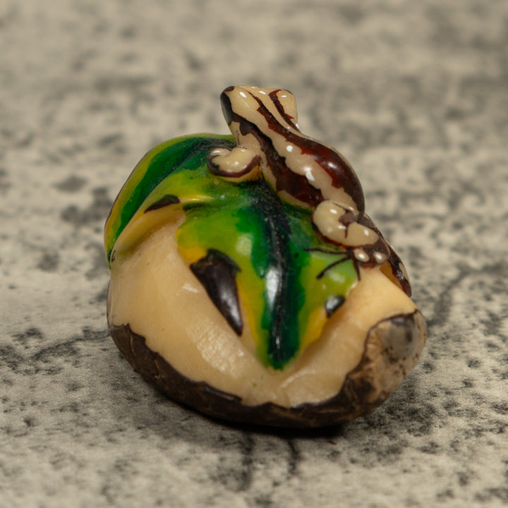 Brown And Cream Frog Tagua Carving