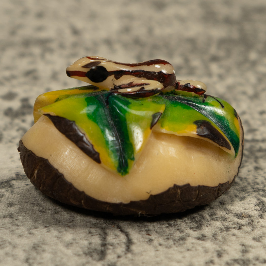 Brown And Cream Frog Tagua Carving