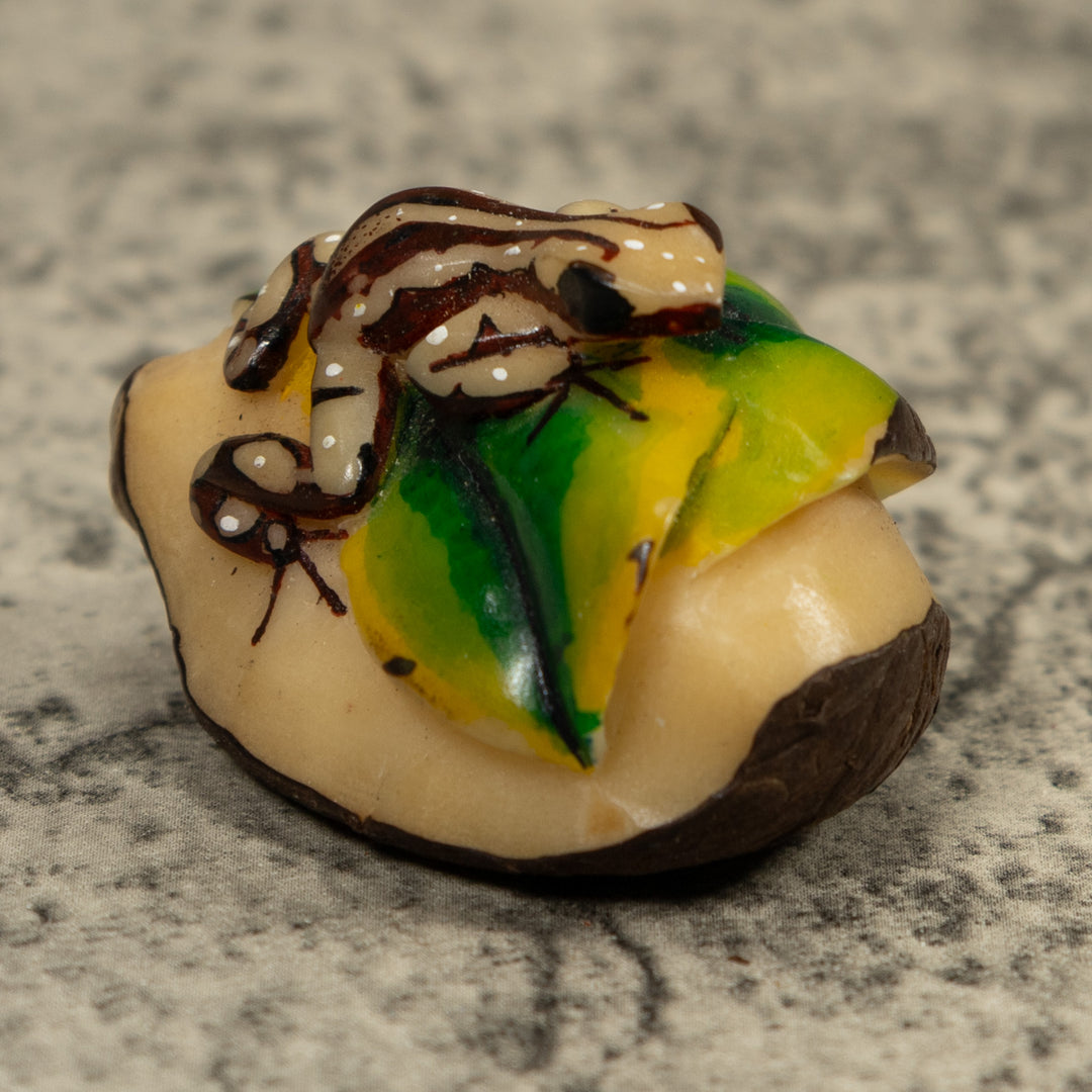 Brown And Cream Frog Tagua Carving
